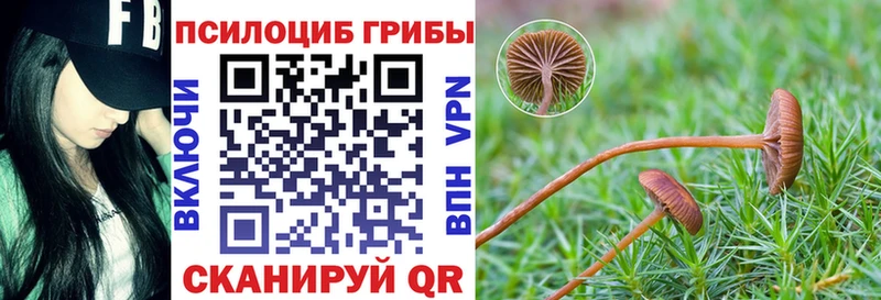 Галлюциногенные грибы Magic Shrooms mega зеркало Жуковка